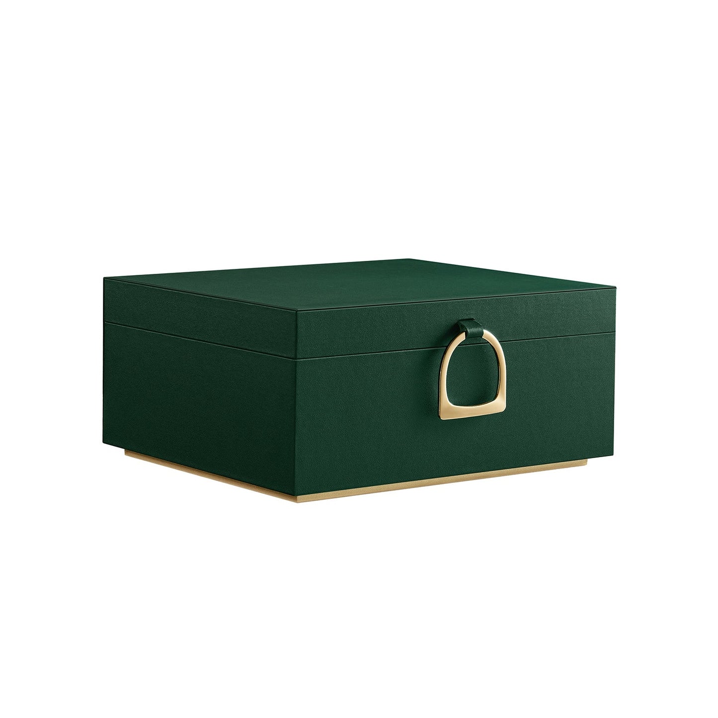 Elegant 2-Layer Jewelry Box with Handle, Removable Tray, Floating Design