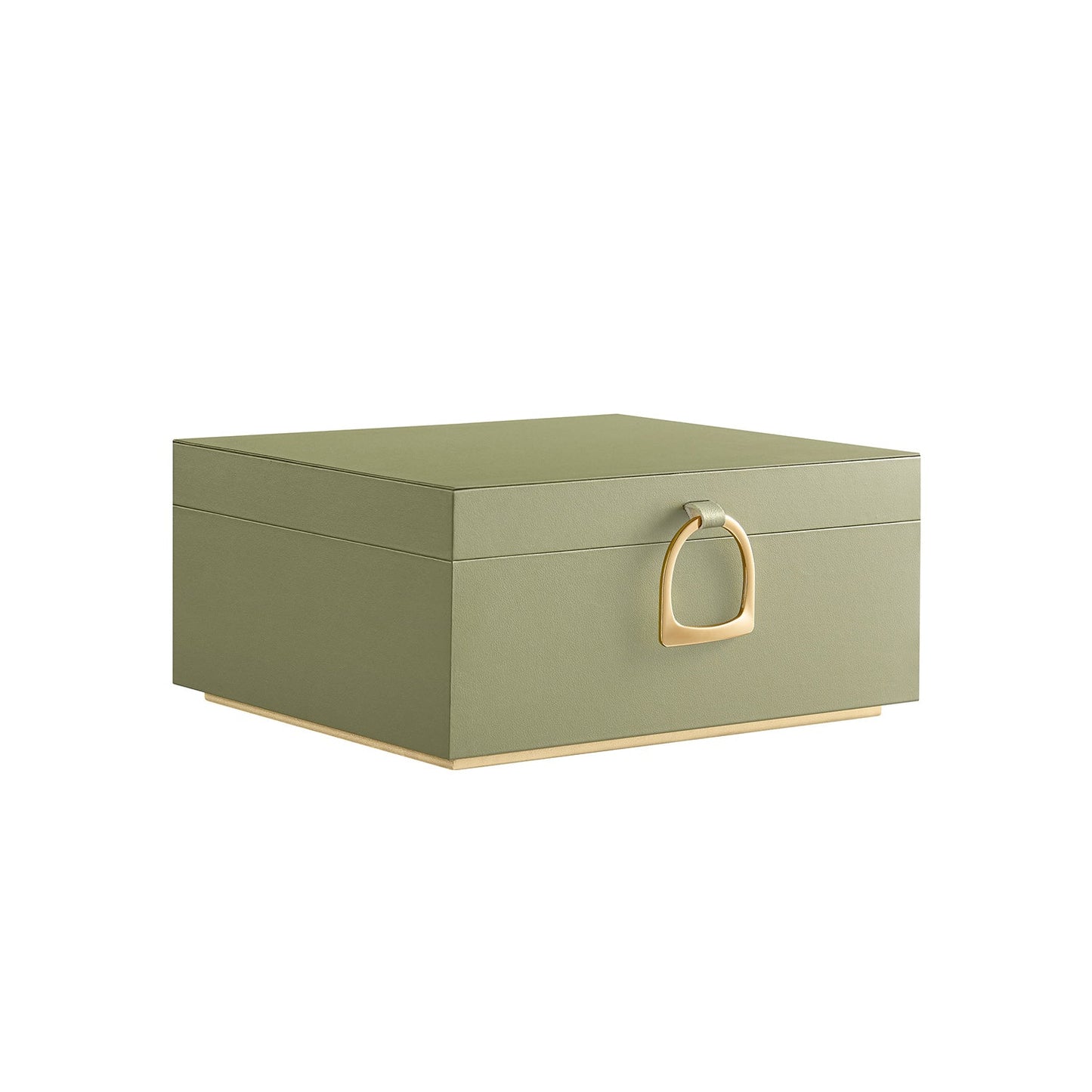Elegant 2-Layer Jewelry Box with Handle, Removable Tray, Floating Design