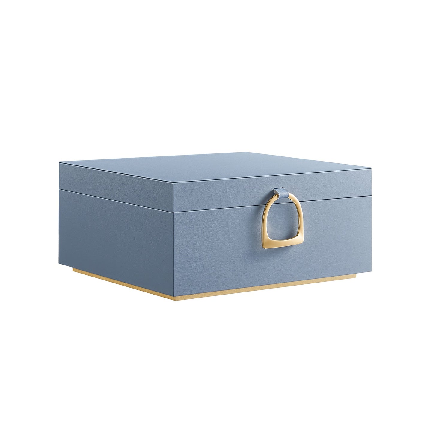 Elegant 2-Layer Jewelry Box with Handle, Removable Tray, Floating Design