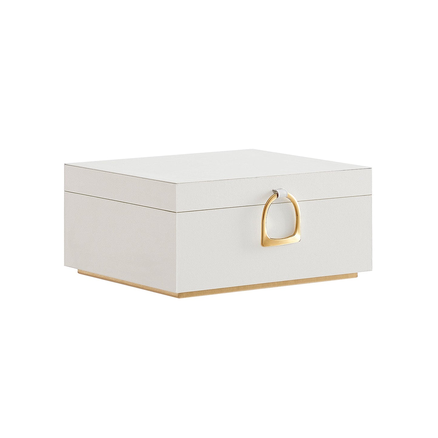 Elegant 2-Layer Jewelry Box with Handle, Removable Tray, Floating Design